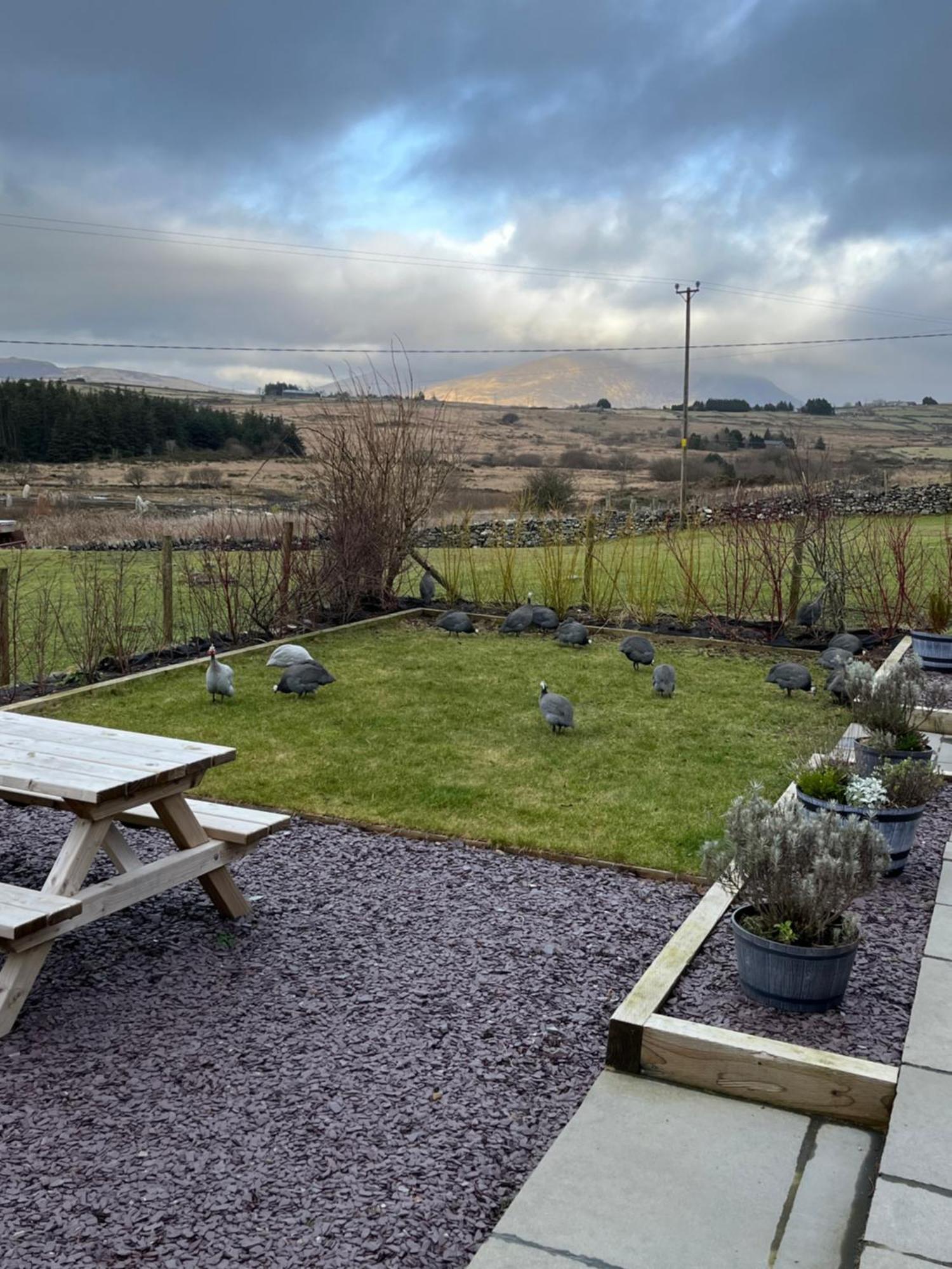 Hedd Wen Villa Llanllyfni ภายนอก รูปภาพ